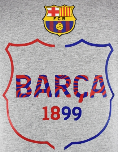 Camiseta FC Barcelona Biescut Gris