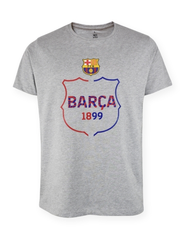 Camiseta FC Barcelona Biescut Gris
