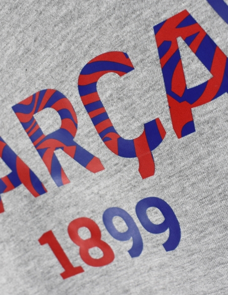 Camiseta FC Barcelona Biescut Gris