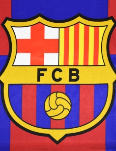 Bandera FC Barcelona Cuadros 2
